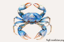 Fantasy Underwater Sublimation PNG Product Image 1