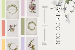 Field summer flowers fruits clipart Product Image 11
