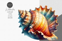 Sea shell clipart, Holiday clipart, Ocean clipart Product Image 1