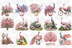 Pink Peacocks Garden Clipart - Set of 29 Png Bundle Product Image 2