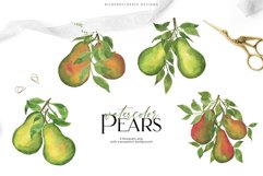 Watercolor Pears art set Product Image 14