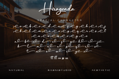 Hiragenda Signature font Product Image 15