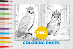 Crowned Owl Coloring Pages | Coloring book Product Image 1