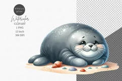 Seal clipart, Antarctic animals clipart, Cute animals Product Image 1