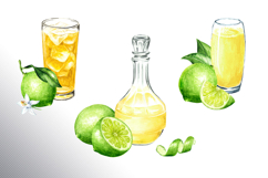 Lime citrus. Watercolor collection Product Image 15