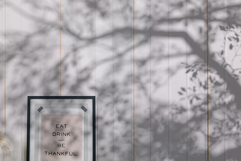 Plant Shadow Backdrops Video Bundle Product Image 14