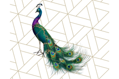 Peacock Christmas Clipart in Jewel Tones, Christmas Png Product Image 2