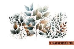 Watercolor Botanical Clipart Sublimation, PNG Product Image 1