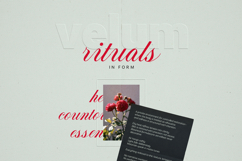 Armonia - Creative Font Duo Product Image 13