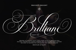 Brilliani Script Pro Product Image 14