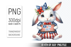 4th Of July Bunny Sublimation Clipart PNG Design Product Image 1