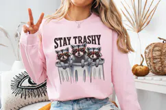 Stay Trashy SVG Design | Quotes| Raccoon Svg Product Image 3