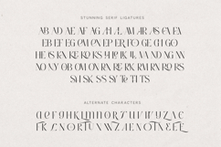 Anna Glave - Serif &amp; Script Font Duo Product Image 14