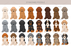 Standard poodle clipart Product Image 2