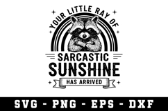 Sacrastic Sunshine Svg |Sarcastic SVG Cut files |Cricut Product Image 1