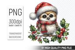 Christmas Owl Clipart PNG, Festive Owl illustration Product Image 1