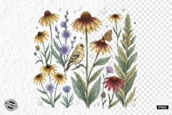 1920 Botanical Summer Wildflowers Clipart Product Image 1