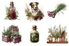 Winter Herbs Clipart Bundle, Set of 25 Png Bundle Product Image 4