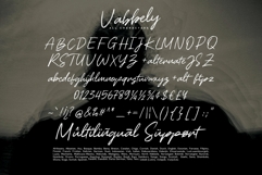 Vabbely / Brush Textured Typeface Product Image 16