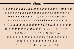 Fox Rustic: 7 Font Styles Product Image 14