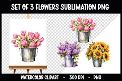 4 Spring Flowers Clip Arts I Watercolour Sublimation PNG Product Image 1