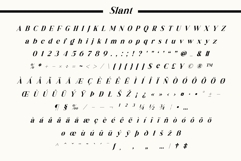 Fox Deliora Font Product Image 14