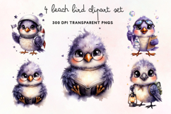Beach Bird Clipart PNG Product Image 1