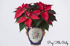 Italian Christmas Clipart PNG Product Image 1