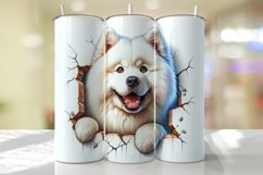 Samoyed Peeking from the Cracked wall Tumbler Wrap Product Image 1