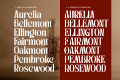 Westford - Modern Serif Logo Font Product Image 11