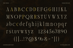 The Choirs - Beauty Elegant Ligature Serif Product Image 14
