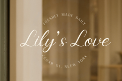Amber Light - Elegant Handwritten Script Font Product Image 14