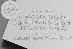 Malgosha Script Product Image 15