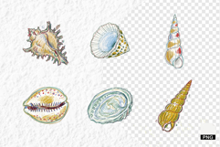 Hand-Drawn Seashells Clipart Product Image 1