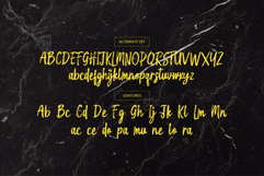 Holgiona Product Image 14