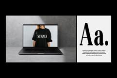 Altaries Product Image 14