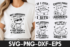 Funny Cat SVG | Cute Cat Quotes PNG DXF EPS Cricut Cut File Product Image 1