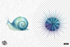 Watercolor Sea Life PNG Clipart Product Image 1