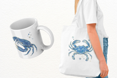Coastal Glitter Crab PNG Clipart Product Image 3