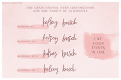 Souls Wylde Font Trio - Script Font and Sans Fonts Product Image 14