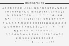 Fox Damian: 5 Font Styles Product Image 14