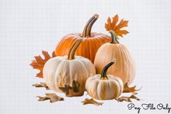 Autumn Pumpkin Thanksgiving Clipart PNG Product Image 1