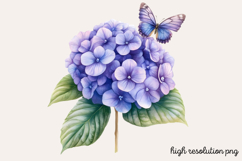 Hydrangea Watercolor Cliparts Bundle PNG Product Image 10