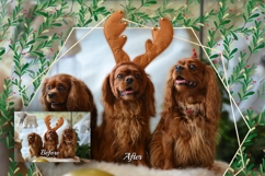 260 Festive Wreaths Mega Pack Product Image 14