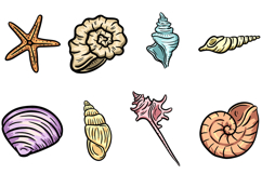 14 Hand drawn clipart illustration of seashell shell SVG PNG Product Image 2