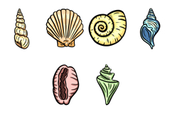 14 Hand drawn clipart illustration of seashell shell SVG PNG Product Image 3