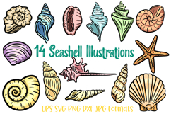 14 Hand drawn clipart illustration of seashell shell SVG PNG Collection by Squeeb Creative