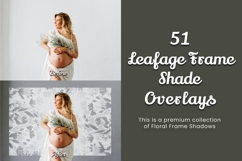 51 Leafage Frame Shade Overlays Product Image 14