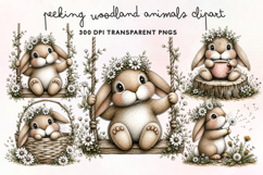 Peeking Woodland Animals Clipart PNG Product Image 1