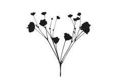 Botanical bundle - svg, png Product Image 17